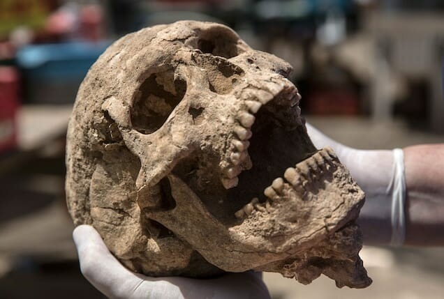 After Discovering A Skull That Had Been Injured By An Unknown Antique Weapon, Archaeologists Are Unable To Conduct Excavations - Mnews