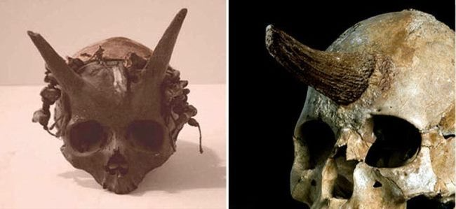 Ancient giant skull with ‘horns’ discovered during an archaeological excavation in Sayre. - BAP NEWS