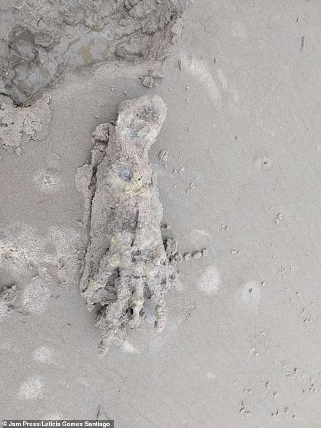 The Couple Found A Strange “Alien Hand” Skeleton Along The Beach, Sparking Fear - Mnews
