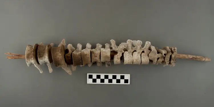 Nearly 200 Graves With Human Spines Threaded On Sticks Found In Peru - Mnews