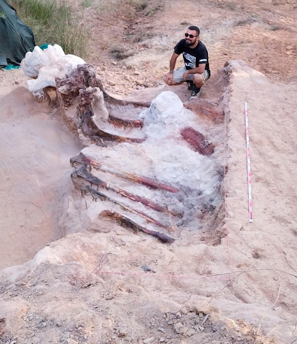 A man’s Extraordinary Discovery Unearths Europe’s Largest Dinosaur Fossil - Mnews