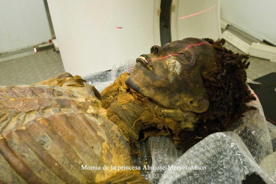 3,000-Year-Old Mummy’s Perfectly Preserved Curls Leave Researchers in Awe - news.tinnhanhtv.com